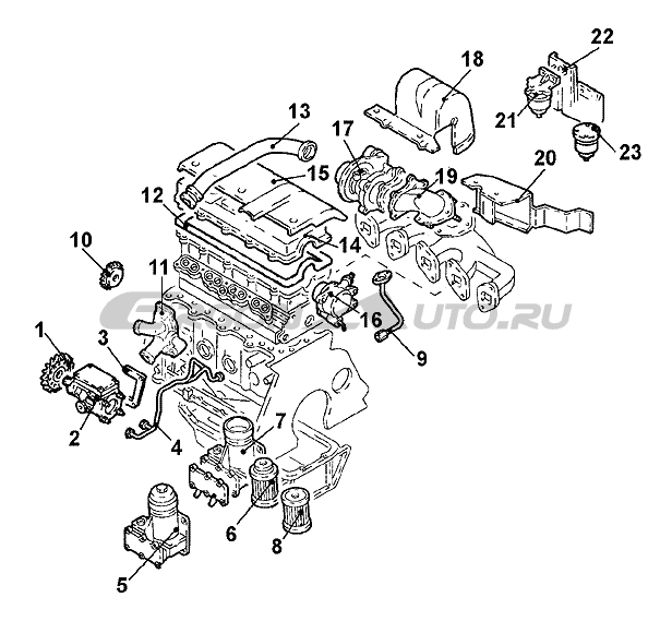 Opel : �����